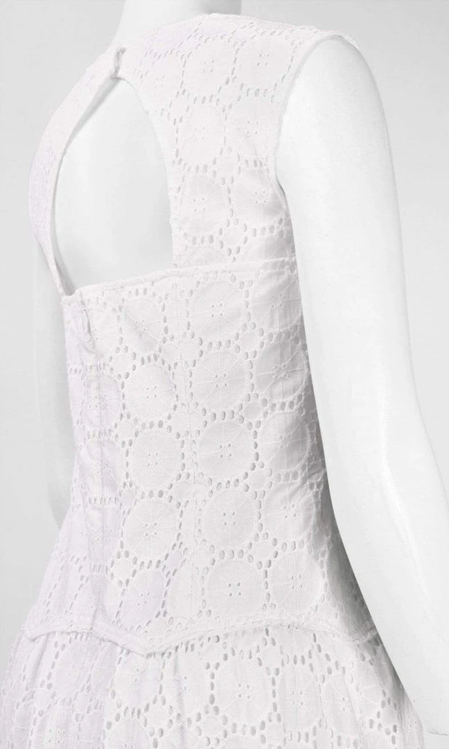 Cocktail Dresses Adrianna Papell - 12244340 Lace Bateau Neck A-Line Dress 7 Cocktail Dresses Adrianna Papell - 12244340 Lace Bateau Neck A-Line Dress