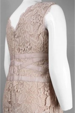 Cocktail Dresses Adrianna Papell - 41905221 V-Neck Lace Ribbon Cocktail Dress - 1 Pc Doe In Size 22W Available