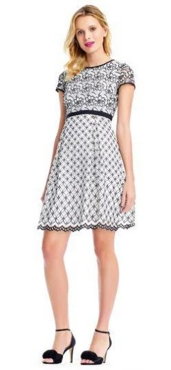 Adrianna Papell - AP1D101945 Lace Jewel Neck A-line Dress Cocktail Dresses