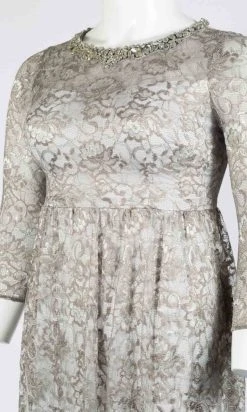 Formal Gowns Adrianna Papell - AP1E203486 Lace Evening Dress