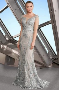 Formal Gowns Alexander By Daymor - Short Sleeve Illusion Bateau Lace Gown 1189 - 1 Pc Neo Mint In Size 10 Available