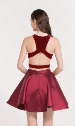 Alyce Paris - Two Piece Velvet Bodice Halter Dress 2648 - 1 Pc Wine In Size 00 Available