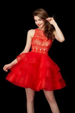 Angela & Alison - 72007 Lace Embroidered Layered Cocktail Dress Formal Gowns