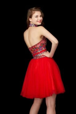 Angela & Alison - 72022 Embroidered Two-Piece Tulle Dress