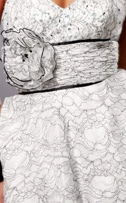 Cocktail Dresses Blush By Alexia Designs - 9141 Lace Sweetheart A-line Dress