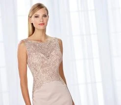 Formal Gowns Cameron Blake By Mon Cheri - Shimmering Bateau Beaded Lace Jersey Gown 118684 - 1 Pc Stone In Size 14 Available
