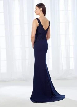 Formal Gowns Cameron Blake By Mon Cheri - Shimmering Bateau Beaded Lace Jersey Gown 118684 - 1 Pc Stone In Size 14 Available