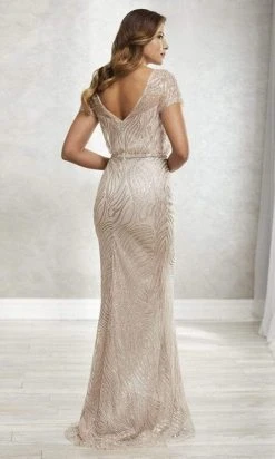 Formal Gowns Christina Wu Elegance - Illusion Bateau Lace Overlay Mermaid Gown 17925 - 1 Pc Rose Gold In Size 10 Available