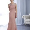 Christina Wu Elegance - Jewel Paneled Bateau Neck Long Gown 17857 - 1 Pc Mauve In Size 6 Available