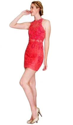 Cinderella Divine - 1586S Lace Appliqued Illusion Midriff Sheath Short Formal Dress Cocktail Dresses
