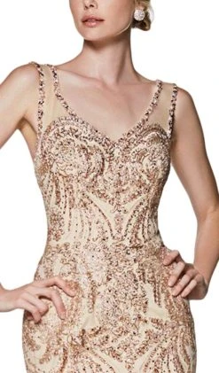 Formal Gowns Cinderella Divine - AM186 Embellished Lace V-Neck Dress