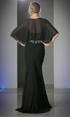 Cinderella Divine - C280 Sheer Batwing Capelet Metallic Appliqued Gown
