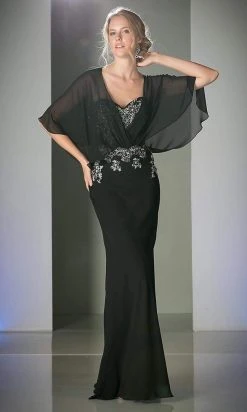 Cinderella Divine - C280 Sheer Batwing Capelet Metallic Appliqued Gown