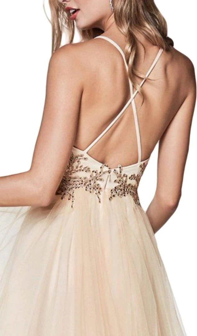 Cinderella Divine - CD0128 Applique Detailed Bodice Tulle A-Line Gown 6 Cinderella Divine - CD0128 Applique Detailed Bodice Tulle A-Line Gown