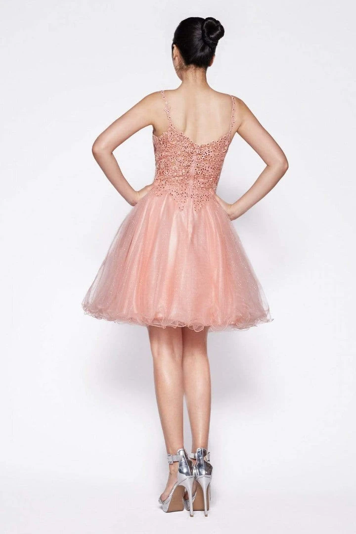 Cinderella Divine - CD0137 Jeweled Lace Glitter Tulle Cocktail Dress 4 Cinderella Divine - CD0137 Jeweled Lace Glitter Tulle Cocktail Dress