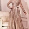 Cinderella Divine - CD233 Sheer Long Sleeve V-neck Evening Gown
