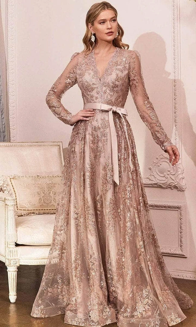 Cinderella Divine - CD233 Sheer Long Sleeve V-neck Evening Gown 3 Cinderella Divine - CD233 Sheer Long Sleeve V-neck Evening Gown