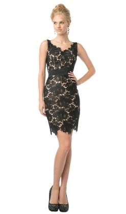 Cinderella Divine - Floral-lace-illusion-cocktail-dress