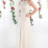 Formal Gowns Cinderella Divine - Lace Embroidered Bateau Neck Sheath Dress