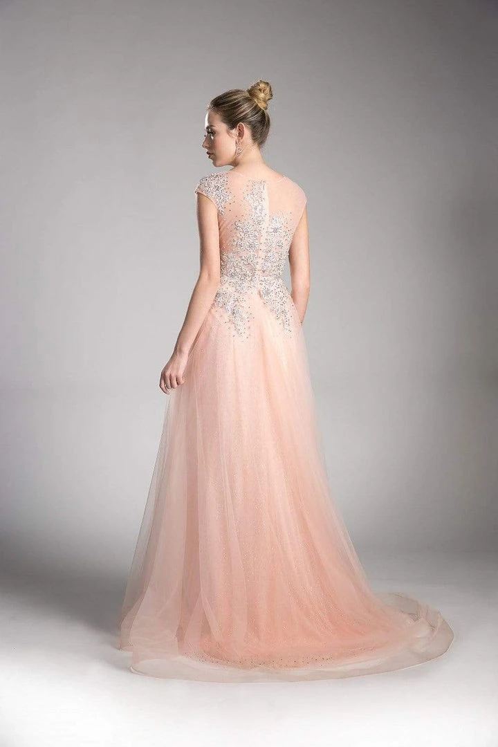 Cinderella Divine - Sheer Scoop Beaded Tulle A-Line Evening Gown 6 Cinderella Divine - Sheer Scoop Beaded Tulle A-Line Evening Gown