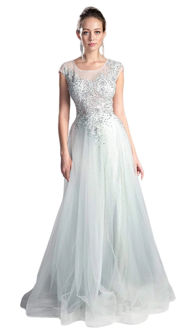 Cinderella Divine - Sheer Scoop Beaded Tulle A-Line Evening Gown 3 Cinderella Divine - Sheer Scoop Beaded Tulle A-Line Evening Gown