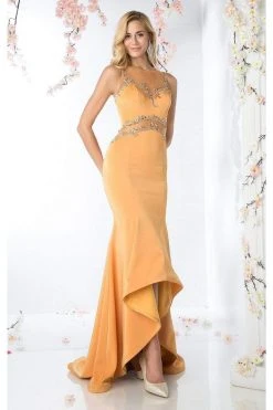 Formal Gowns Cinderella Divine - SL765 Jersey Illusion Long Sheath Dress