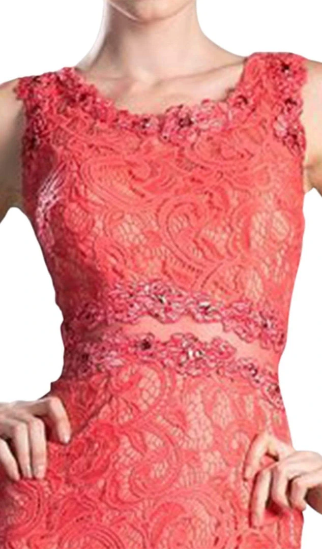 Cinderella Divine - Sleeveless Illusion Jewel Lace Sheath Fitted Cocktail Dress 9 Cinderella Divine - Sleeveless Illusion Jewel Lace Sheath Fitted Cocktail Dress