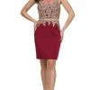 Dancing Queen - 2000 Mock Two-Piece Illusion Lace Cocktail Dress Cocktail Dresses