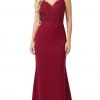 Dancing Queen - 2620 Lace V-neck Trumpet Dress Formal Gowns