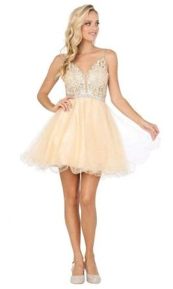 Cocktail Dresses Dancing Queen - Appliqued Bodice A-Line Dress 3228 - 1 Pc Champagne In Size XS Available