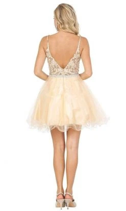 Cocktail Dresses Dancing Queen - Appliqued Bodice A-Line Dress 3228 - 1 Pc Champagne In Size XS Available