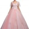 Dancing Queen - Sheer Butterfly Sleeve Embellished Quinceanera Ballgown 1203 - 1 Pc Blush In Size S Available 2 Dancing Queen - Sheer Butterfly Sleeve Embellished Quinceanera Ballgown 1203 - 1 Pc Blush In Size S Available