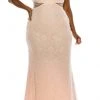Ignite Evenings - IG119101 Illusion Neck And Back Lace Dress Formal Gowns