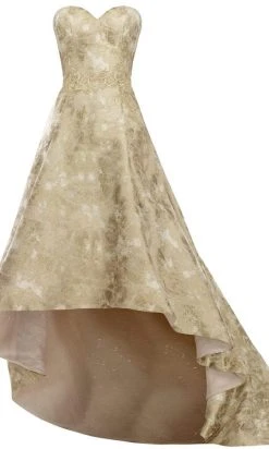 Formal Gowns Janique - Strapless Sweetheart Hi-Lo A Line Gown C1680