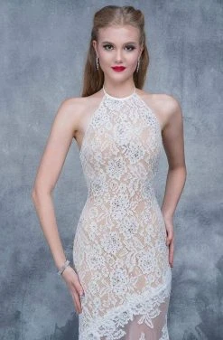 Nina Canacci - 2141 Lace Illusion Panel Sheath Gown Formal Gowns