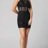 Primavera Couture - Sequined Halter Cowl Back Dress 3311 - 1 Pc Black In Size 16 Available Cocktail Dresses