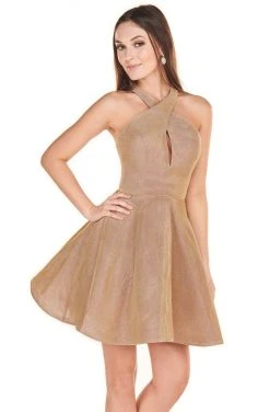 Rachel Allan Shorts - 4102 Halter Shimmer A-Line Mini Dress 8 Rachel Allan Shorts - 4102 Halter Shimmer A-Line Mini Dress