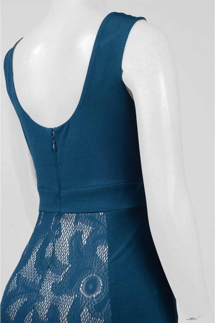 Formal Gowns Sangria - DWHGC93 Sleeveless Lace Panel Gown 8 Formal Gowns Sangria - DWHGC93 Sleeveless Lace Panel Gown