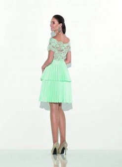 Tarik Ediz - 90469 Scalloped Illusion Lace Pleated Dress