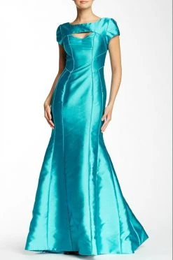 Theia - 881905 Sectional Seam Evening Dress Formal Gowns