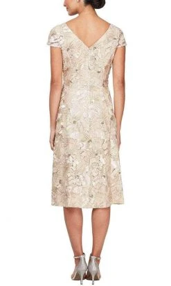 Alex Evenings - 84122331 Cap Sleeve Scoop A Line Dress