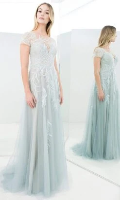 Alexander By Daymor - 1372 Beaded Illusion Bateau A-Line Dress