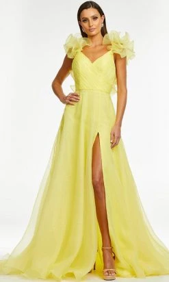 Ashley Lauren - 11166 Ruffled V-Neck A-Line Gown