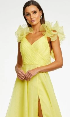 Ashley Lauren - 11166 Ruffled V-Neck A-Line Gown