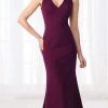 Cameron Blake By Mon Cheri Cameron Blake - Seamed V-Neck Jersey Trumpet Evening Dress 218625 - 2 Pcs Grape In Sizes 14 And 18 And 1 Pc Black In Size 18 Available 1 Cameron Blake By Mon Cheri Cameron Blake - Seamed V-Neck Jersey Trumpet Evening Dress 218625 - 2 Pcs Grape In Sizes 14 And 18 And 1 Pc Black In Size 18 Available