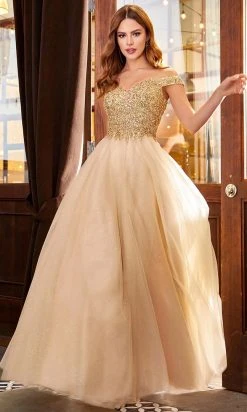 Cinderella Divine - CD0177 Metallic Lace Appliqued Glitter Tulle Gown