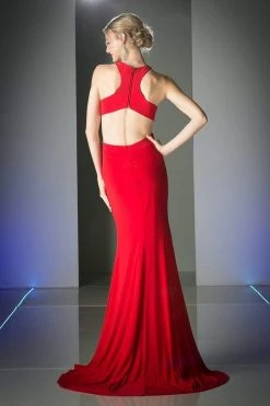 Cinderella Divine - CK66 Jewel Cut-Out Long Sheath Dress 5 Cinderella Divine - CK66 Jewel Cut-Out Long Sheath Dress