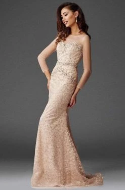 Clarisse - M6427 Mesh Sleeved Embroidered Long Gown