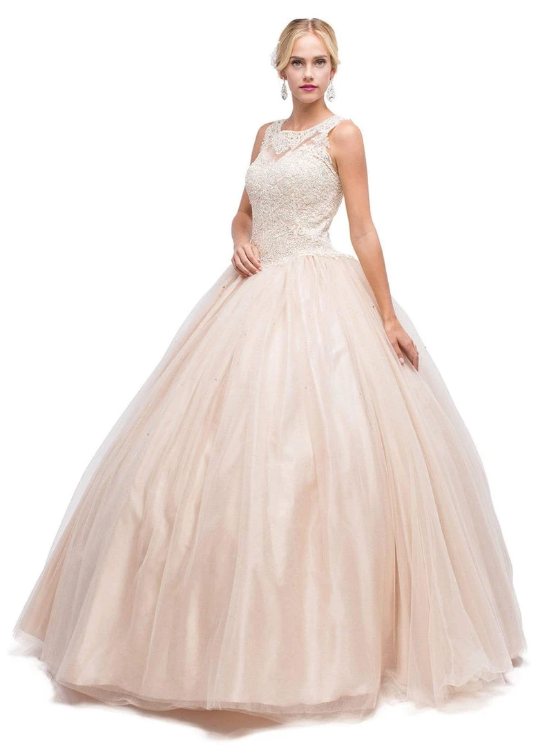 Dancing Queen - 1152 Sleeveless Beaded Quinceanera Ballgown 7 Dancing Queen - 1152 Sleeveless Beaded Quinceanera Ballgown
