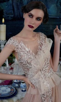 Janique 15761 - Cap Sleeve Illusion V-neck Long Dress 9 Janique 15761 - Cap Sleeve Illusion V-neck Long Dress